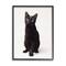 Stupell Industries Cute Black Cat Expressive Eyes Pet Portrait in Black Frame Wall Art